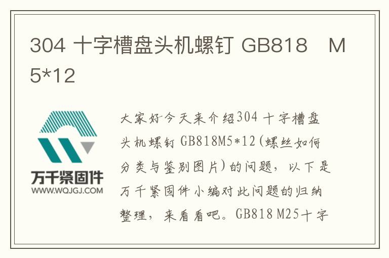 304 十字槽盤頭機螺釘 GB818	M5*12