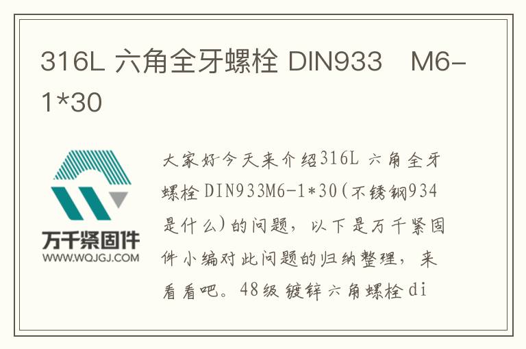 316L 六角全牙螺栓 DIN933	M6-1*30