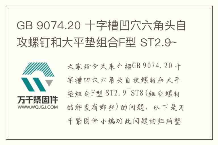 GB 9074.20 十字槽凹穴六角頭自攻螺釘和大平墊組合F型 ST2.9~ST8