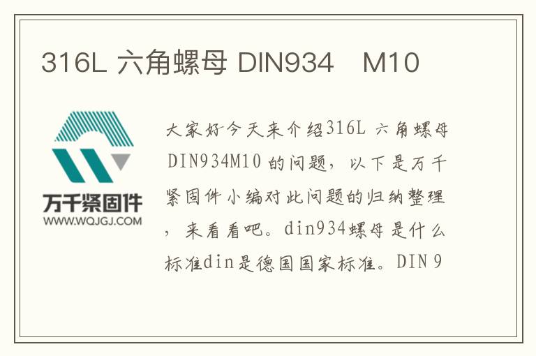 316L 六角螺母 DIN934	M10