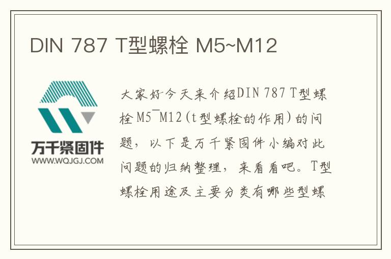 DIN 787 T型螺栓 M5~M12