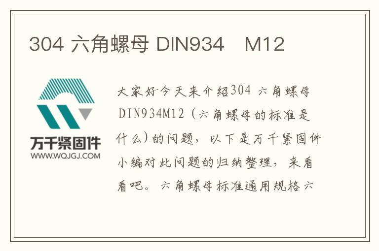 304 六角螺母 DIN934	M12