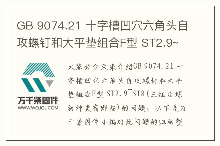 GB 9074.21 十字槽凹穴六角頭自攻螺釘和大平墊組合F型 ST2.9~ST8