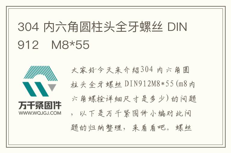 304 內(nèi)六角圓柱頭全牙螺絲 DIN912	M8*55