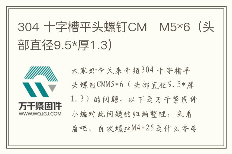 304 十字槽平頭螺釘CM	M5*6（頭部直徑9.5*厚1.3）