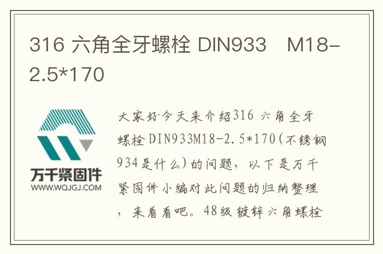 316 六角全牙螺栓 DIN933	M18-2.5*170