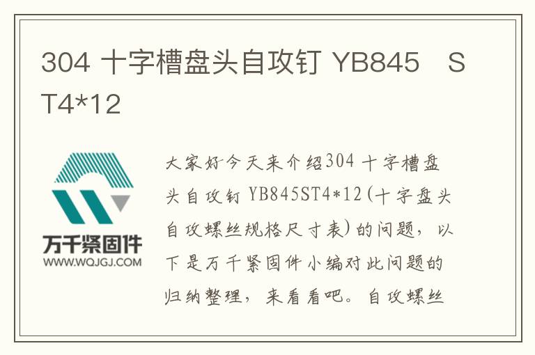 304 十字槽盤頭自攻釘 YB845	ST4*12