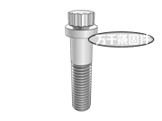 12角法蘭螺栓 IFI 115